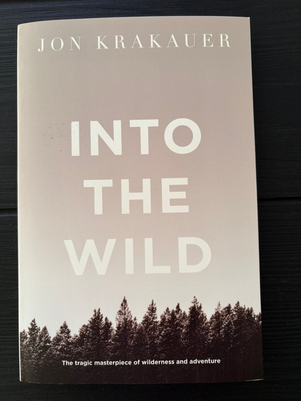 Into The Wild (Engelstalig), Boeken, Ophalen, Gelezen, Amerika