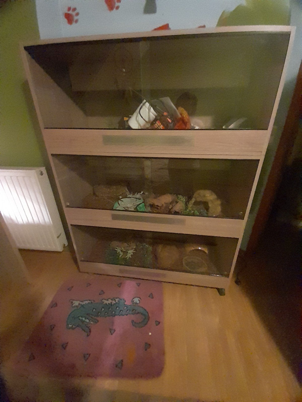 slangenkast, Dieren en Toebehoren, Reptielen en Amfibieën