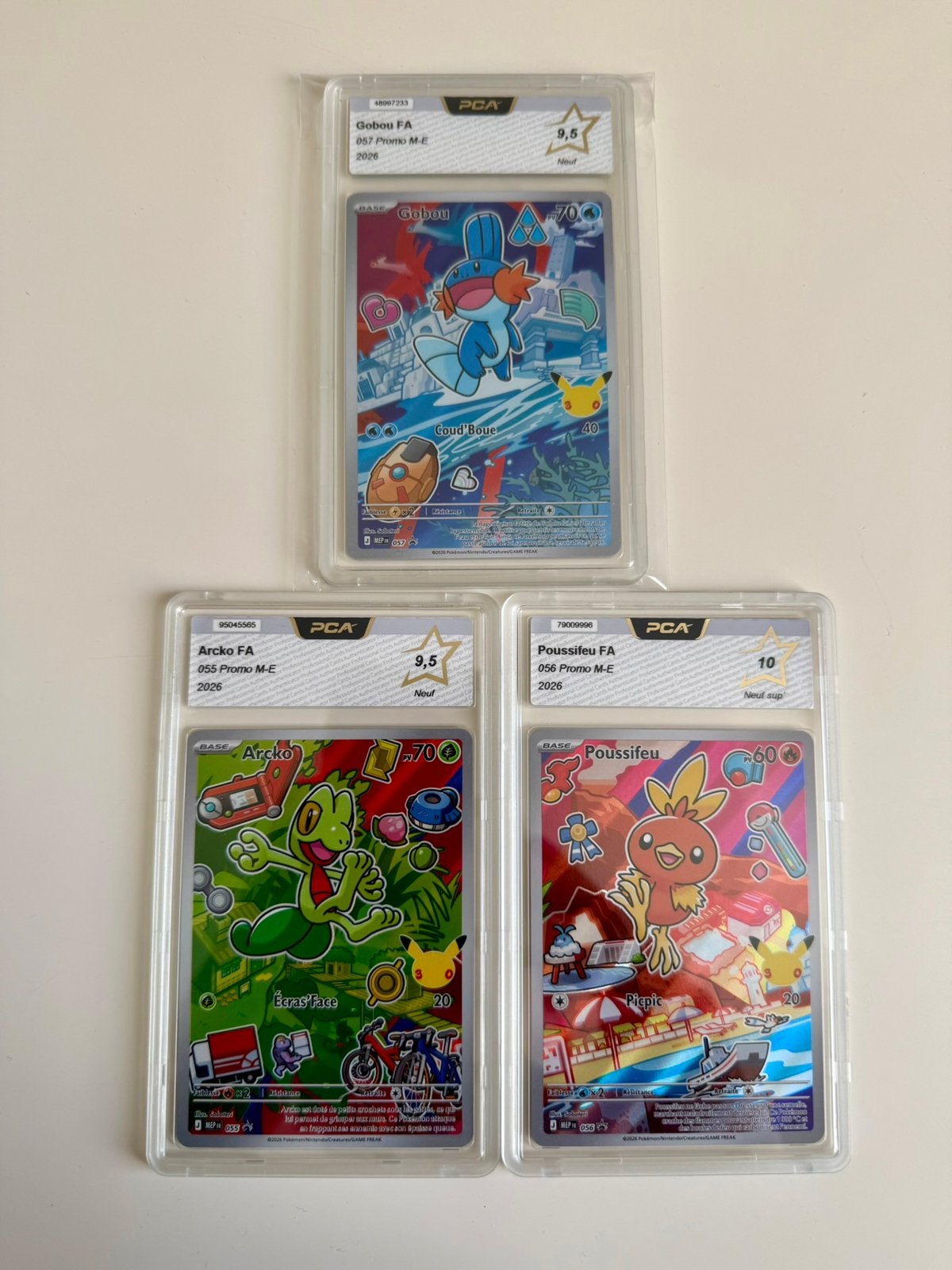 Pokémon TCG Arcko 055 + Poussifeu 056 + Gobou 057 - FR PCA, Hobby & Loisirs créatifs, Enlèvement ou Envoi, Neuf, Plusieurs cartes