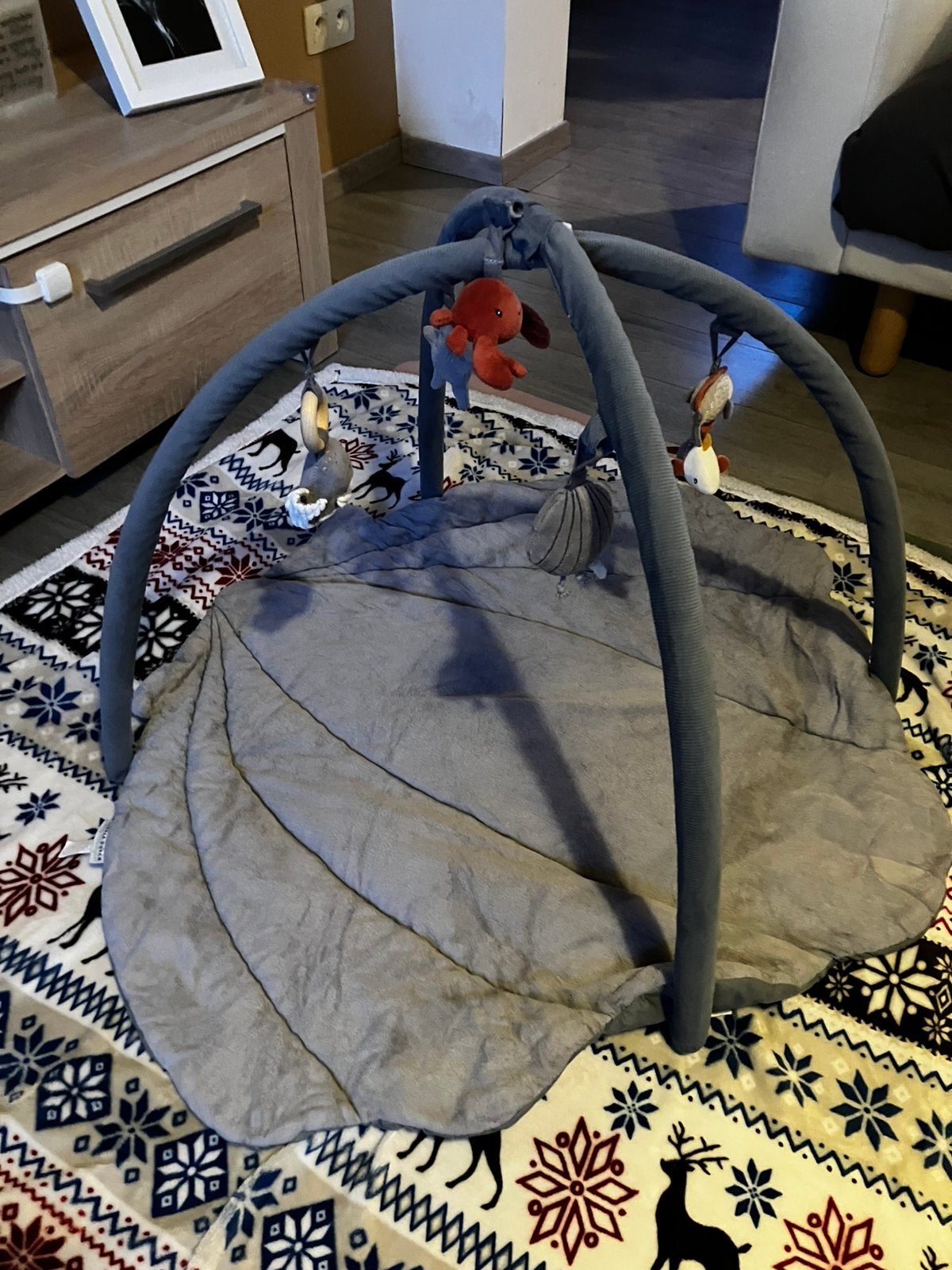 Baby speelmat met boog, Kinderen en Baby's, Ophalen, Zo goed als nieuw