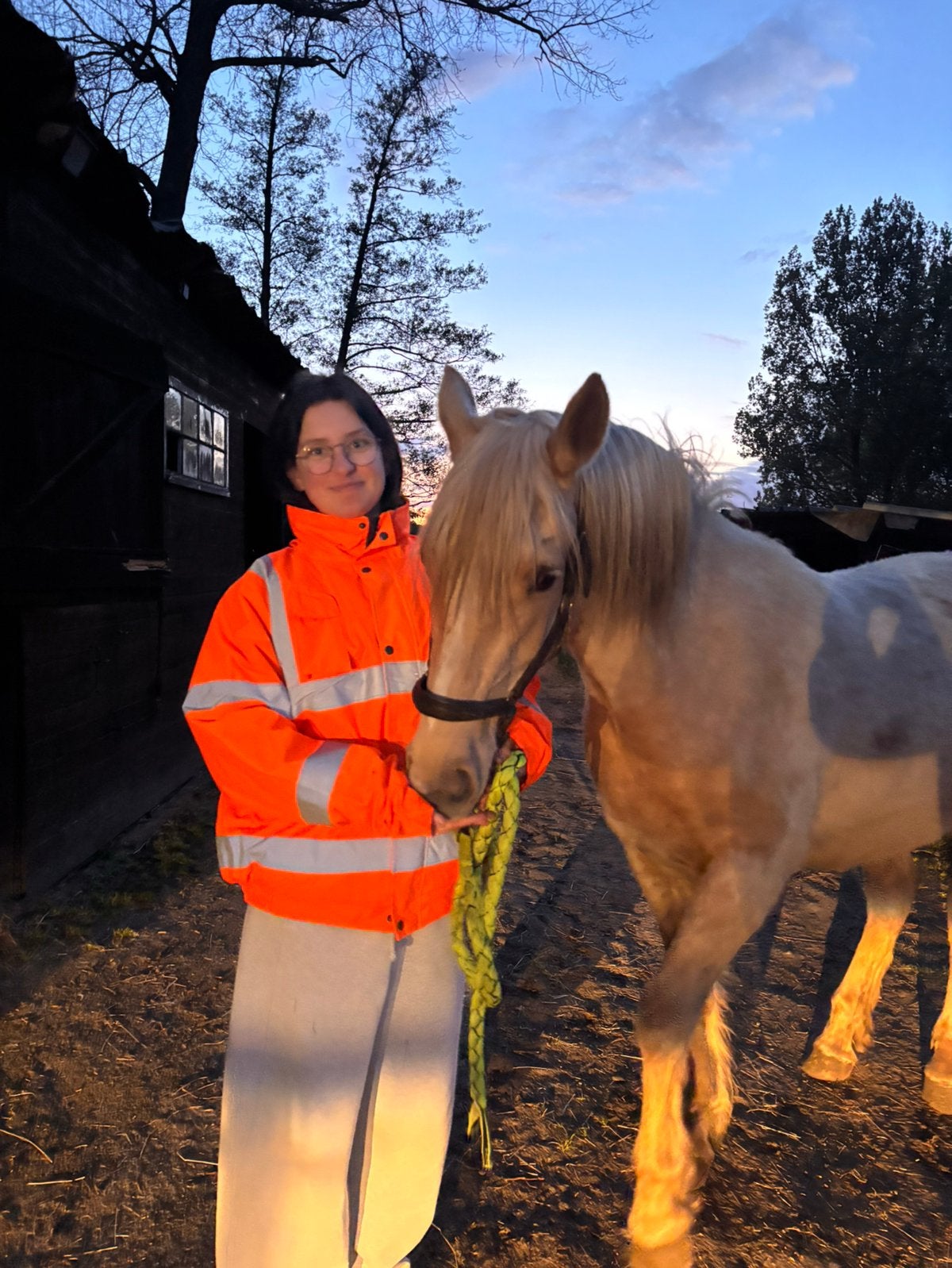 JOB GEZOCHT IN DE PAARDENSECTOR