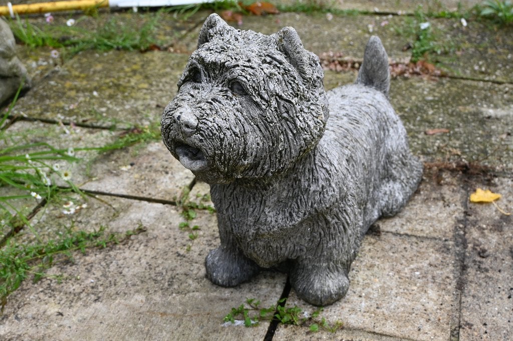 Vintage Betonnen Tuinbeeld West Highland White Terrier, Ophalen, Gebruikt, Steen, Dierenbeeld