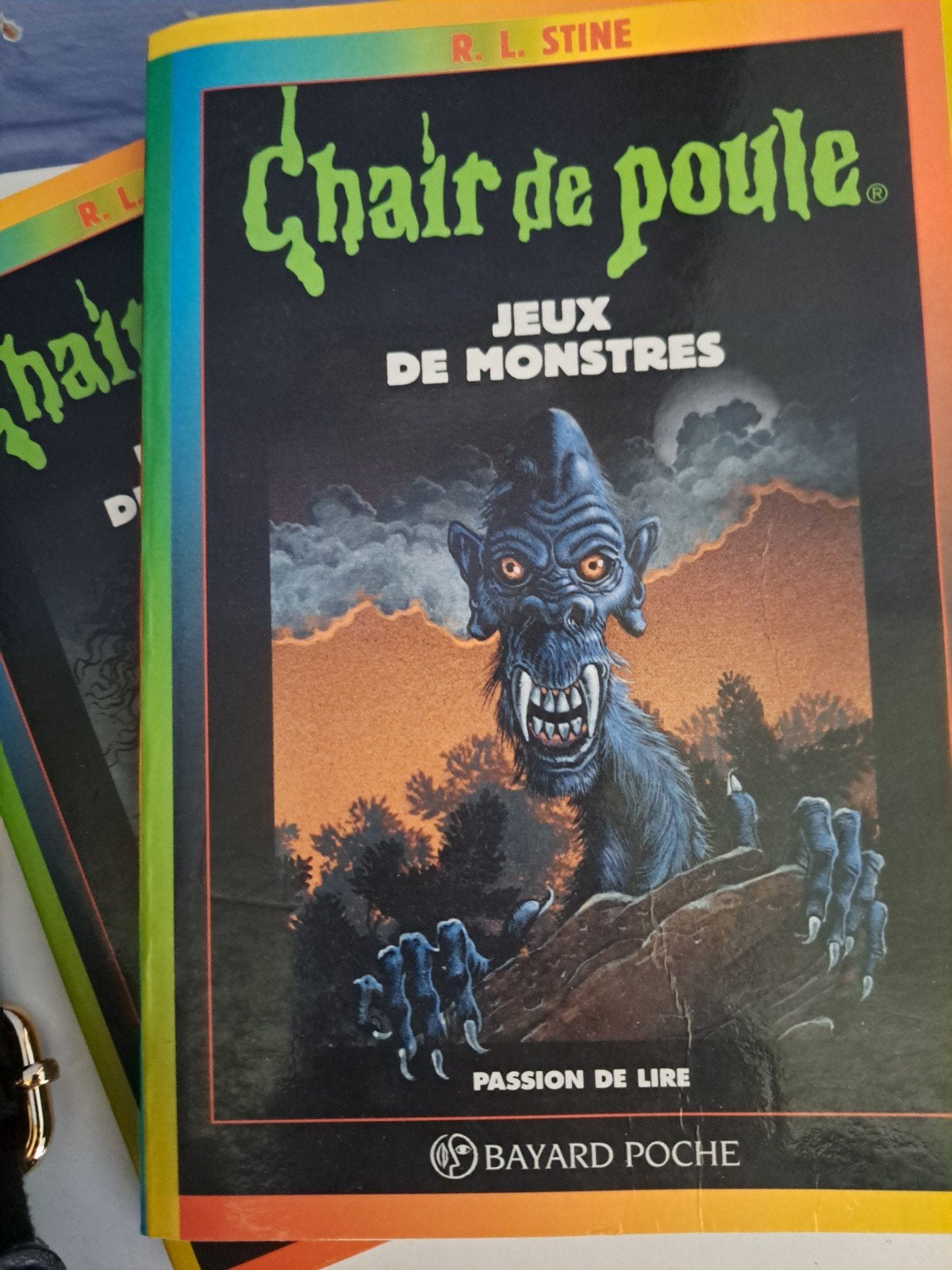 livre chair de poule, Livres, Enlèvement, Comme neuf