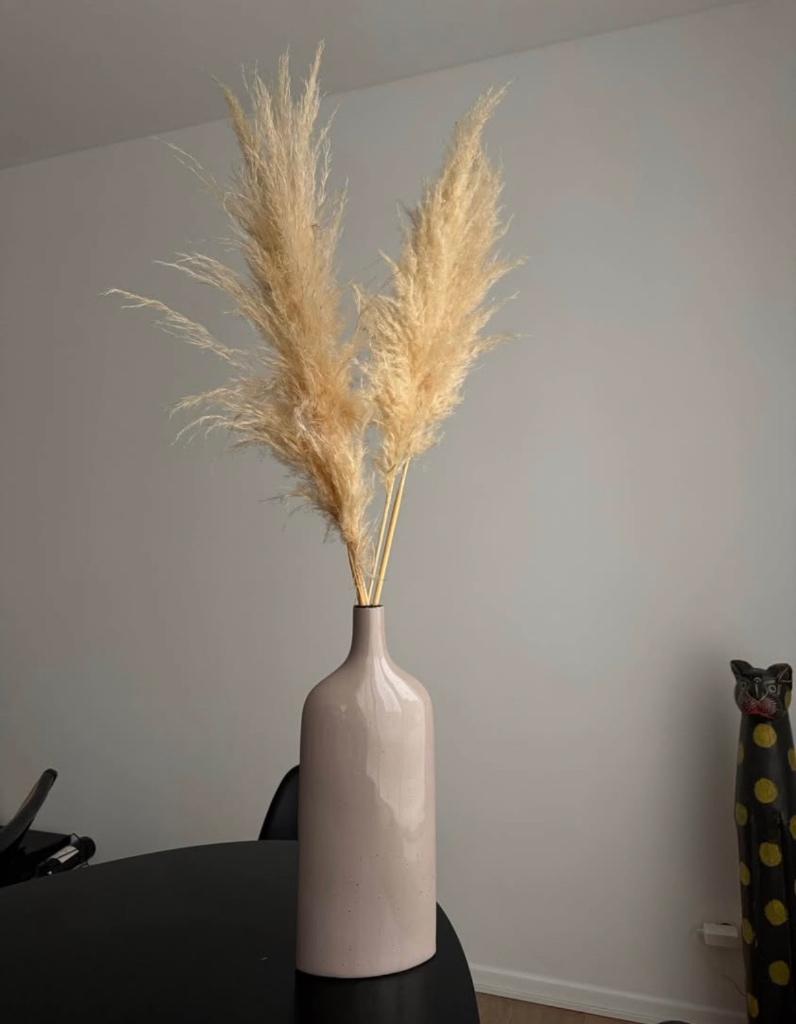 Vaas met pampas, Huis en Inrichting, Ophalen, Overige kleuren, 50 tot 75 cm, Aardewerk of Porselein