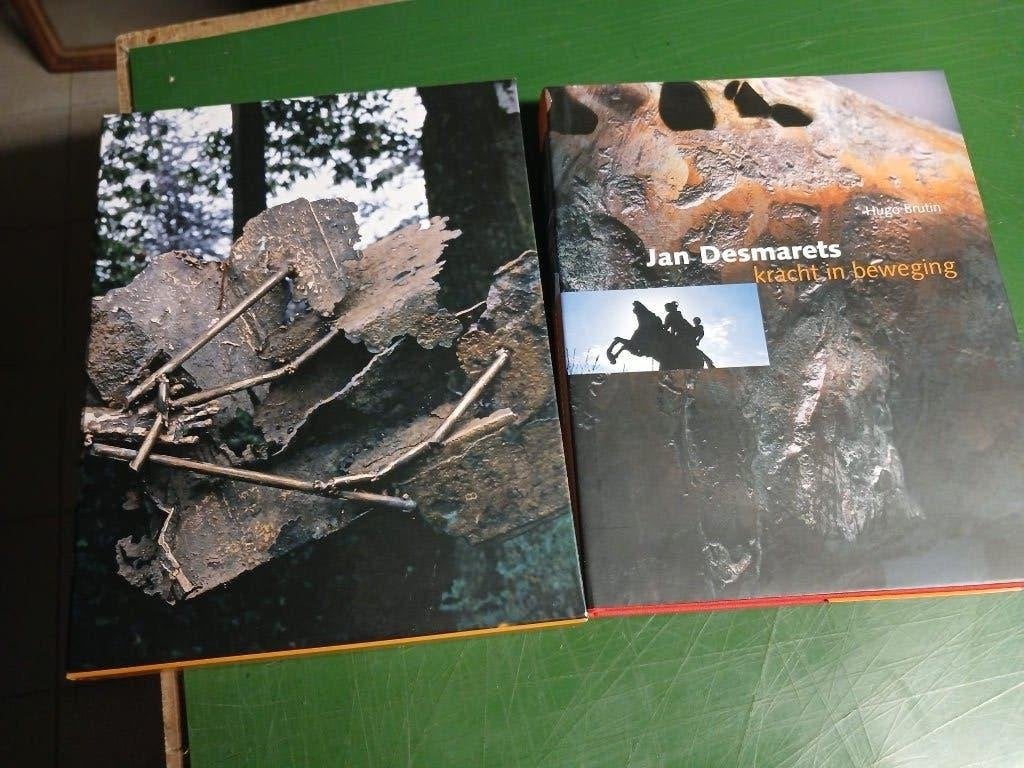 boek  kracht in beweging Jan Desmarets, Boeken, Ophalen of Verzenden, Zo goed als nieuw, Grafische vormgeving