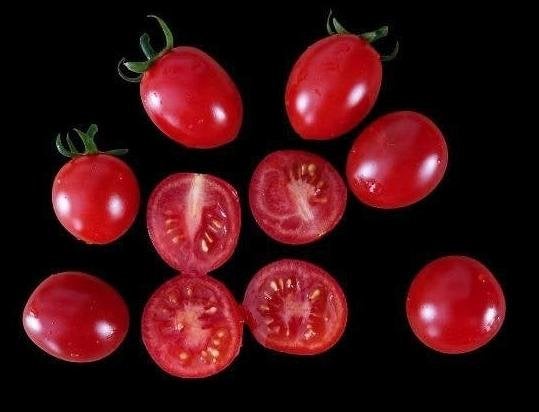 5 graines de tomate cerise Trixi - culture biologique, Envoi, Printemps, Graine