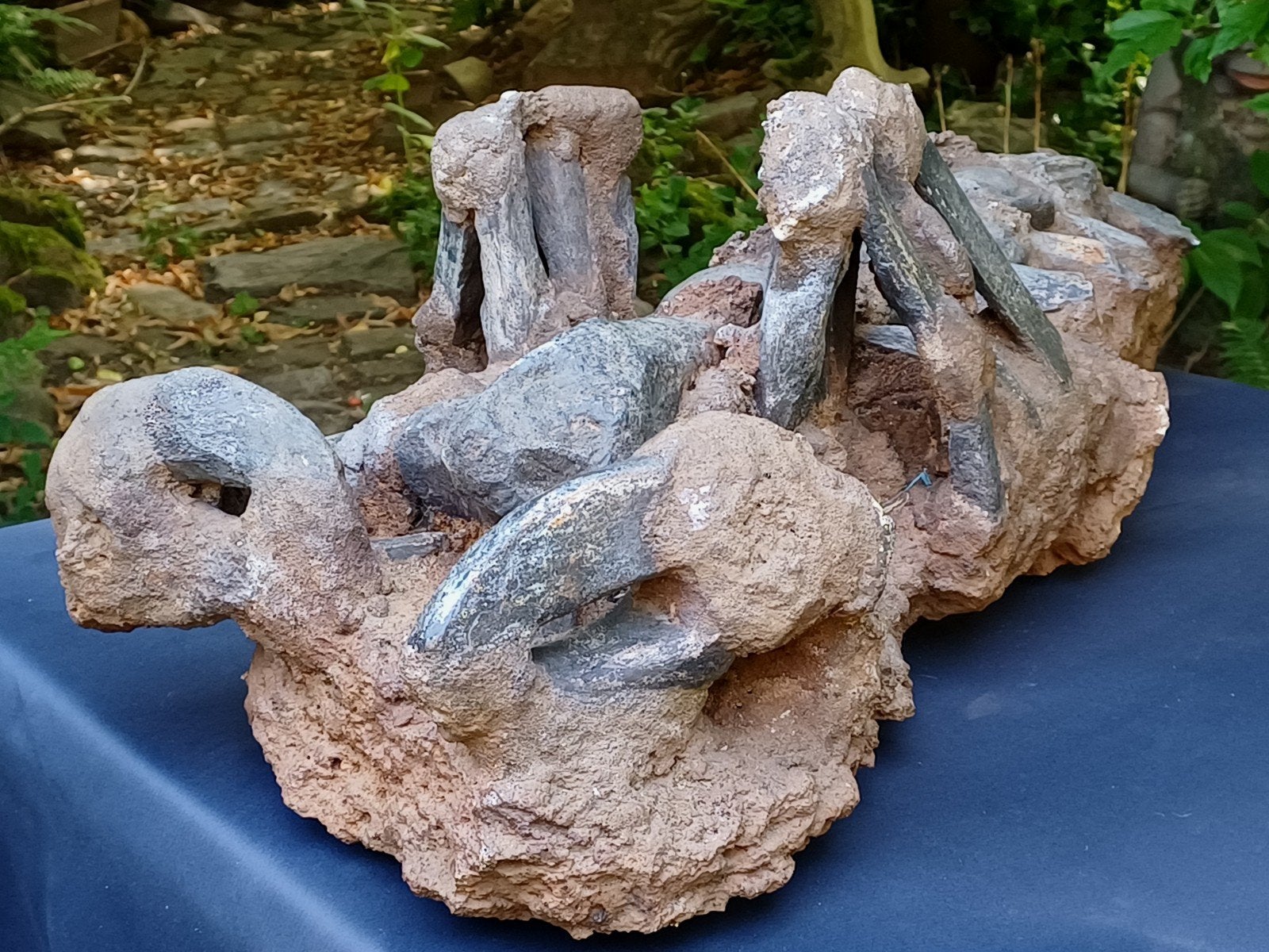 Grote en zware kreeft met echt fossiel botmateriaal, Ophalen
