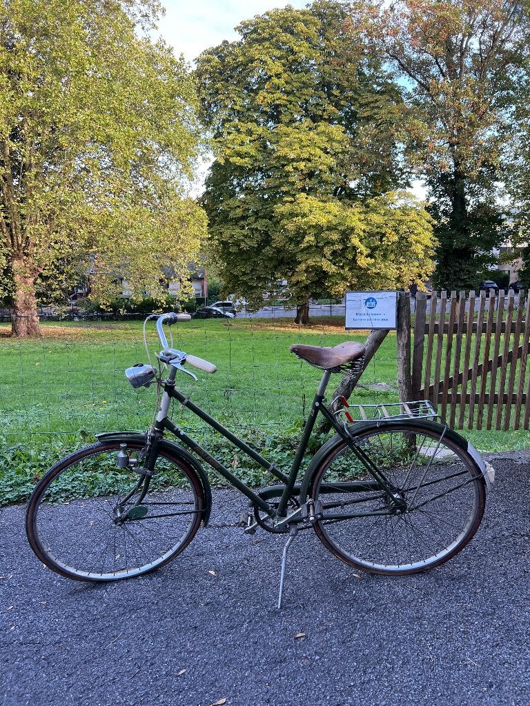 Vélo Vintage, Vélos & Vélomoteurs, Enlèvement