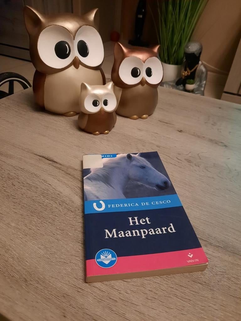 Federica de cesco - het maanpaard, Ophalen of Verzenden, Zo goed als nieuw