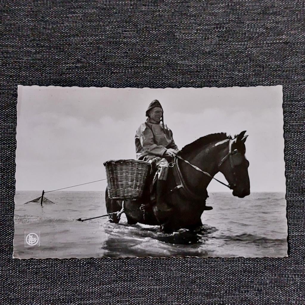 Oude postkaart : Garnaalvisser, Ophalen of Verzenden