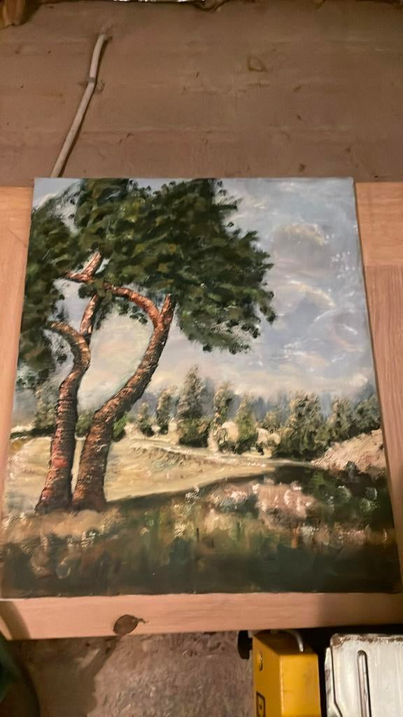 Stilleven op doek ~60 x 40 cm, Ophalen of Verzenden, Gebruikt, Minder dan 50 cm, 50 tot 75 cm