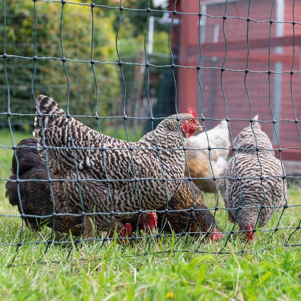 Verstelbare afrastering net, Dieren en Toebehoren
