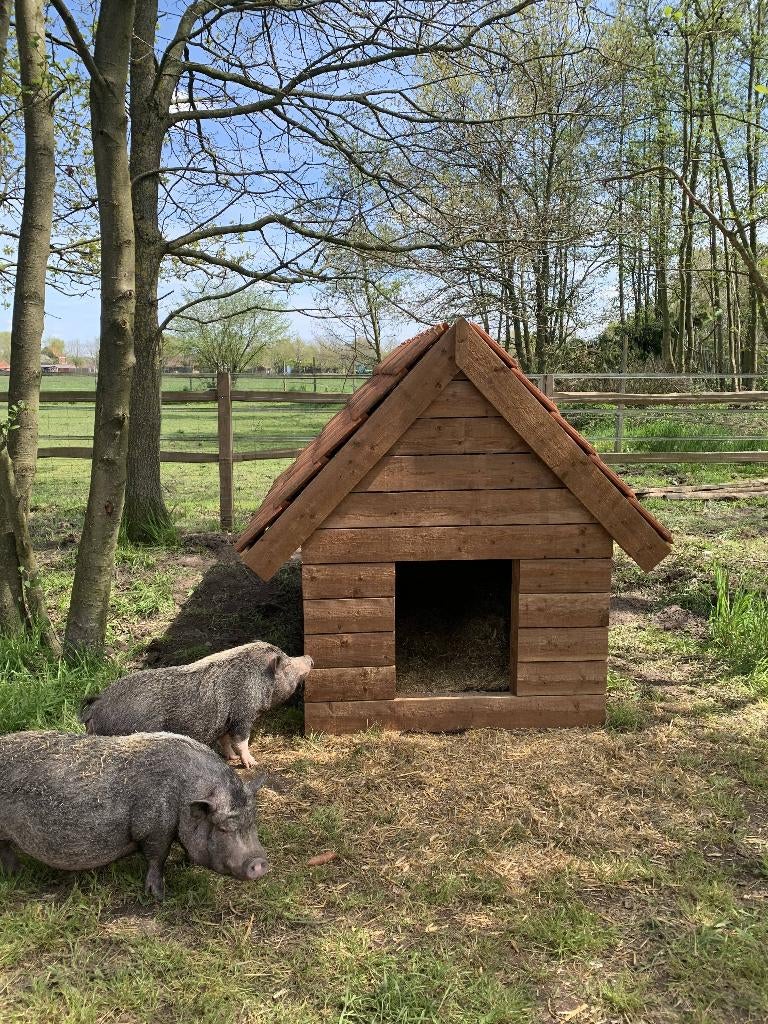 Dierenverblijven op maat, Dieren en Toebehoren, Ophalen of Verzenden, Nieuw