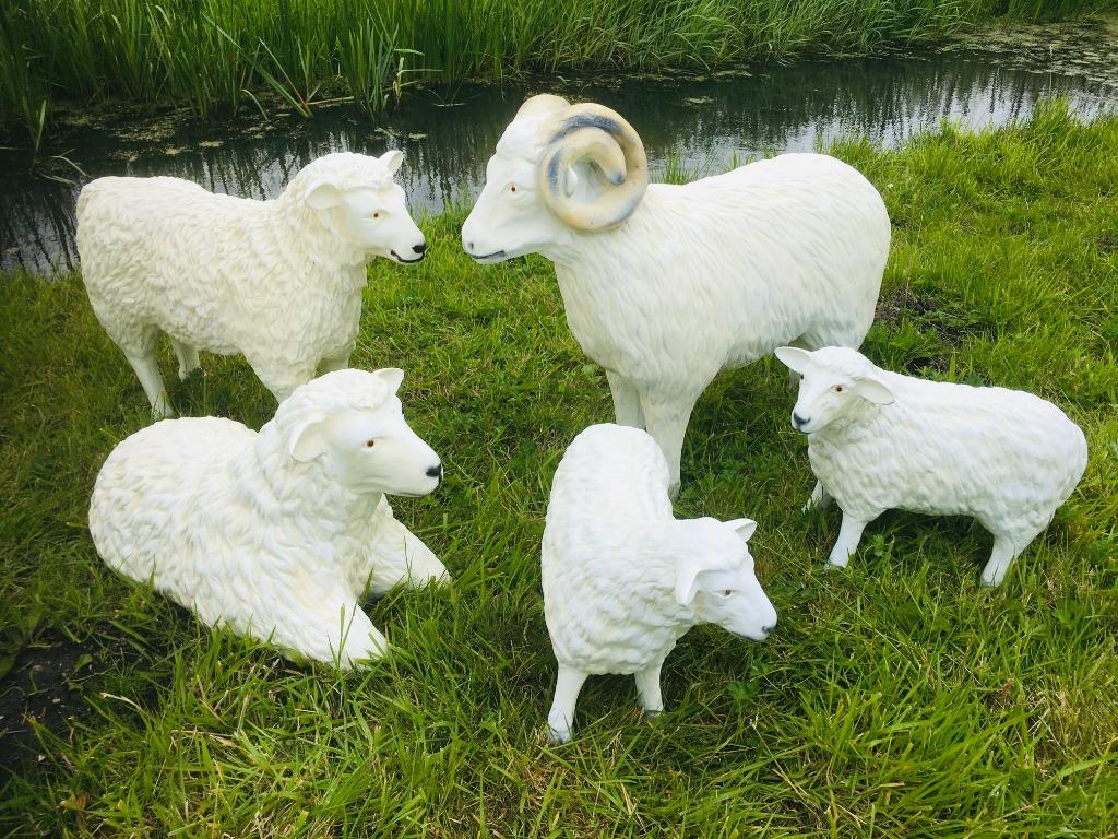 Schaap lam ram schaap tuinbeeld, Tuin en Terras, Ophalen of Verzenden, Nieuw, Kunststof, Dierenbeeld