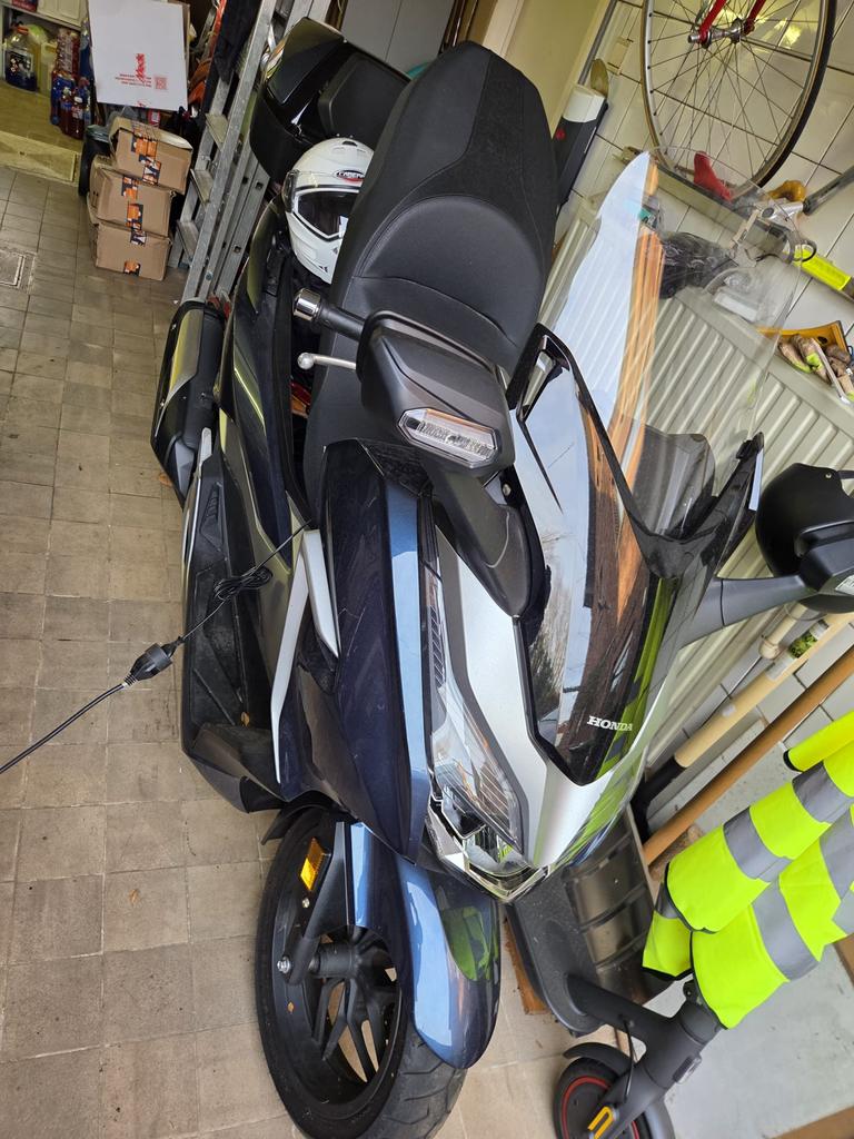Honda Forza 300 (2019) – slechts 2.430 km - TOPstaat, Permis Moto A2 minimum, 12 à 35 kW, 1 cylindre, Scooter