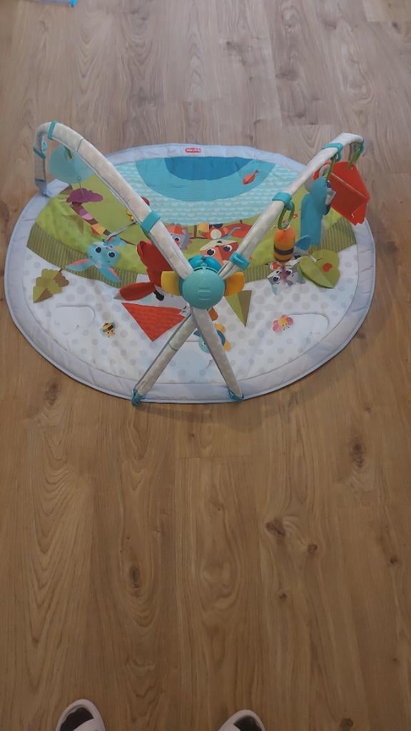 Tapis d'éveil/ de jeux Dynimic Gymini pour bébé (Tiny Love), Enlèvement, Utilisé, Garçon ou Fille
