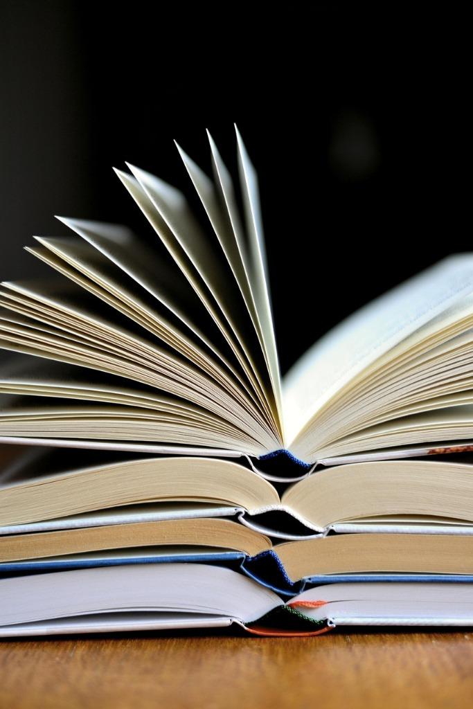 GEZOCHT: boeken allerlei, Boeken, Ophalen, Gelezen