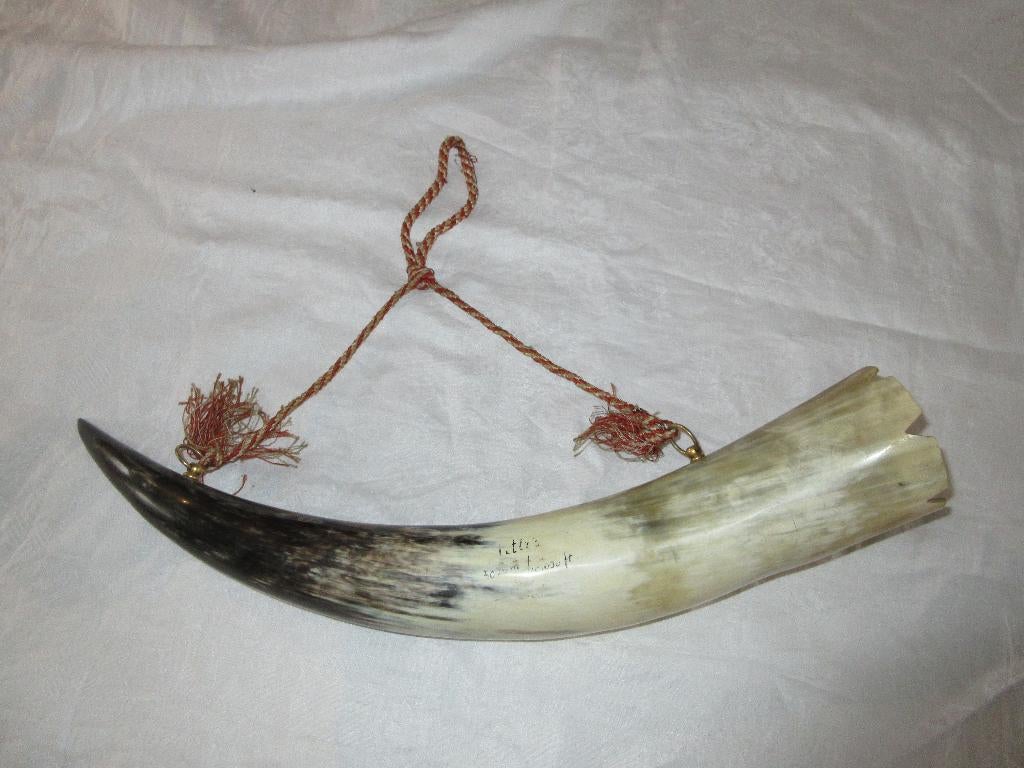 Koehoorn blaashoorn muurvaasje taxidermie Mount Titlis 3020m, Ophalen