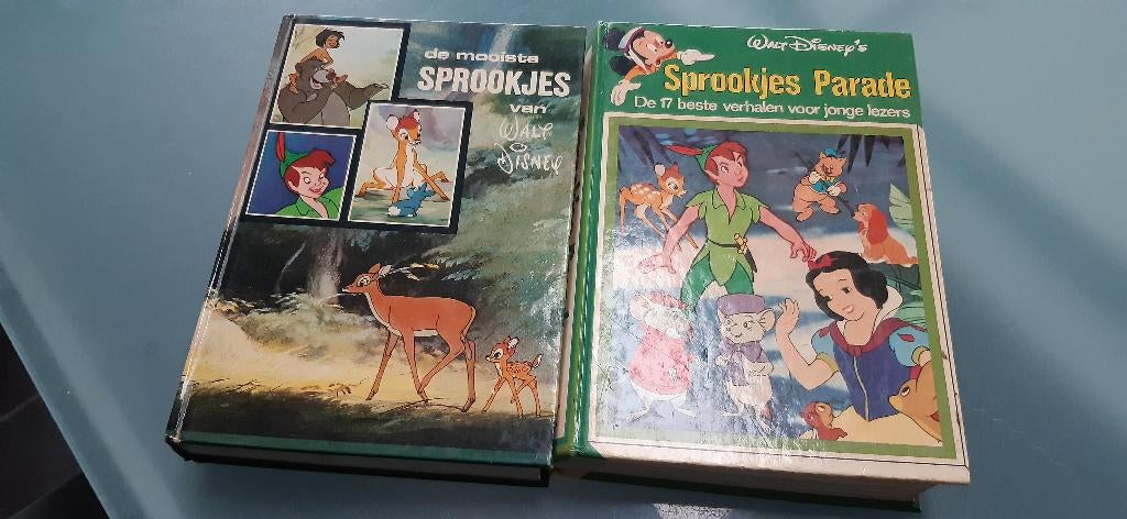 boeken, 5 of 6 jaar, Jongen of Meisje, Ophalen of Verzenden, Voorleesboek