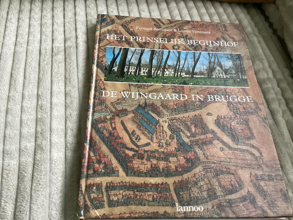 De wijngaard in BRUGGE. Het prinselijk begijnhof. Fernand, Boeken, Ophalen of Verzenden, Gelezen