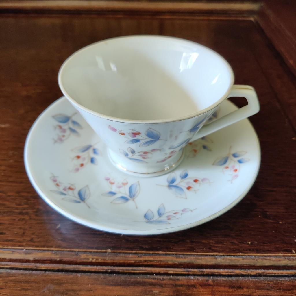 Kopjes en ondertasjes, Enlèvement ou Envoi, Comme neuf, Autres styles, Porcelaine