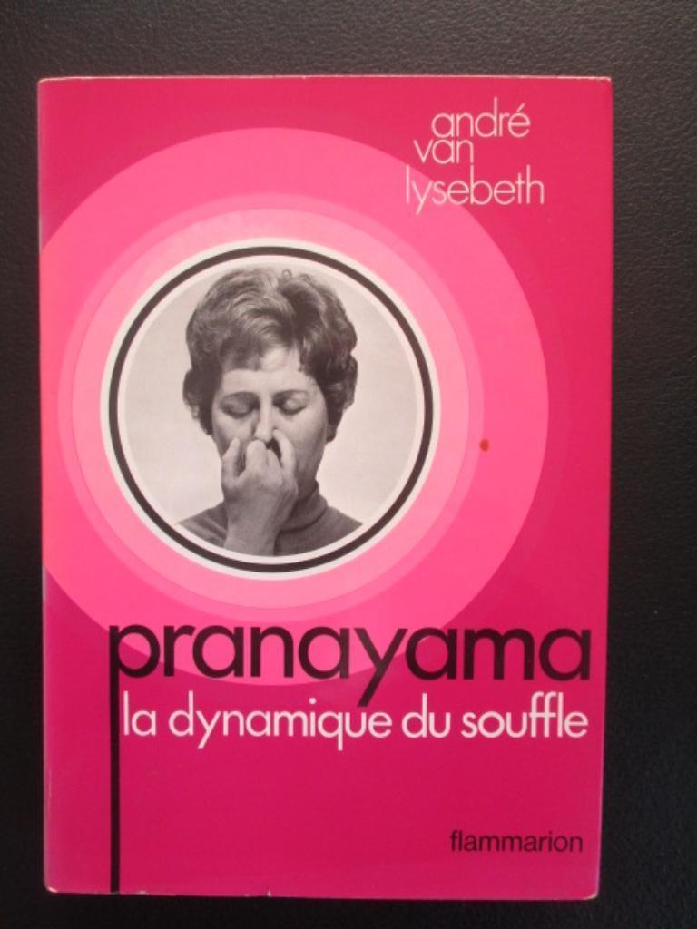 Le pranayama, la dynamique du soufflé, Livres, Ésotérisme & Spiritualité, Enlèvement ou Envoi, Méditation ou Yoga, Comme neuf