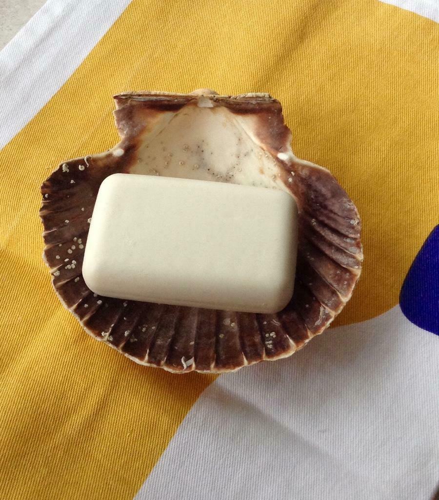 A vendre un porte-savon en coquille, Enlèvement, Comme neuf