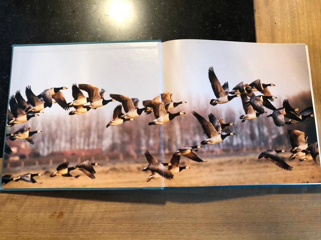 Riviermonden van het vlakke land - Philippe de Woot, Livres, Nature, Enlèvement ou Envoi, Comme neuf, Oiseaux, Philippe de Woot