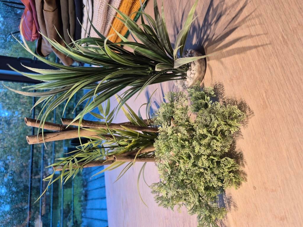 Plastic planten voor in aquarium, Ophalen of Verzenden, Zo goed als nieuw