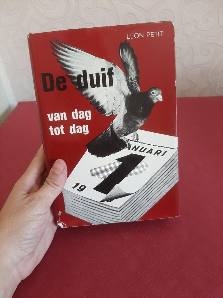 Boek "De duif van dag tot dag" – Léon Petit – Duivensport, Boeken, Ophalen of Verzenden, Gelezen