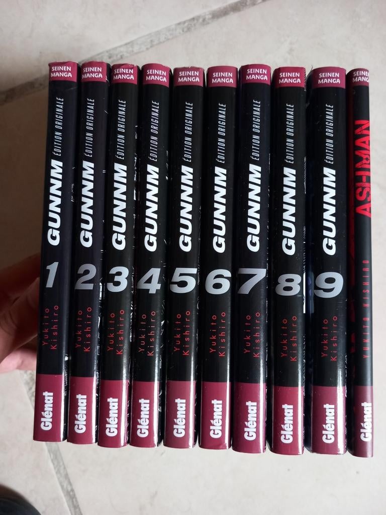 Manga Gunnm + Ashman intégrale, Ophalen of Verzenden, Zo goed als nieuw