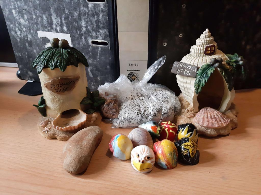 kit pagou bernard l'hermite, Animaux & Accessoires, Enlèvement ou Envoi, Comme neuf