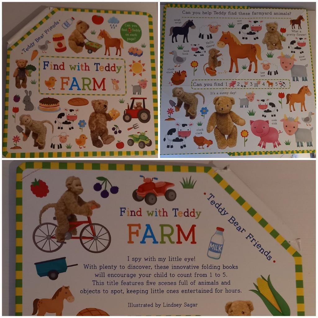 Livre en anglais Find with Teddy FARM, Enlèvement ou Envoi