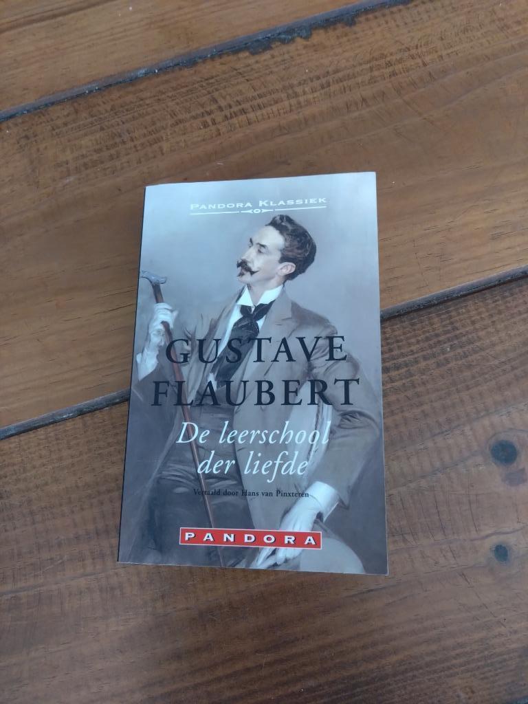 De leerschool der liefde - Gustave Flaubert, Boeken, Literatuur, Gelezen, België, Ophalen of Verzenden