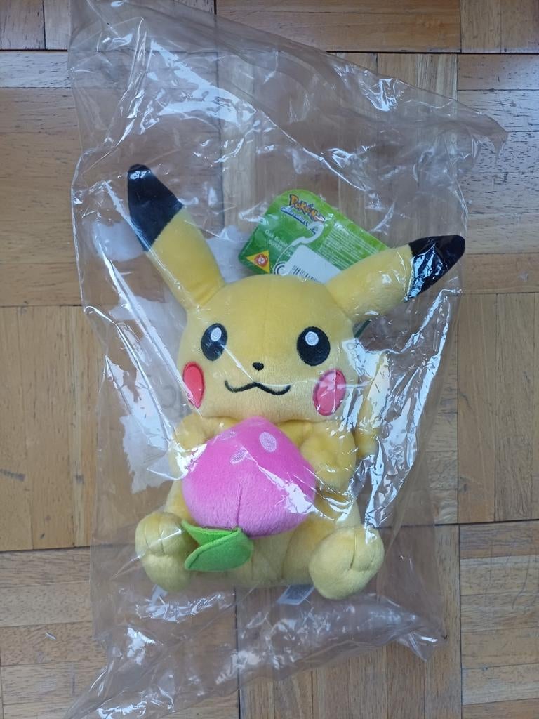 Peluche Pikachu, Enlèvement ou Envoi