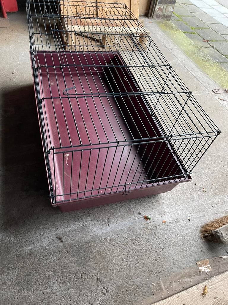 Kooi voor knaagdieren (konijn of andere), Dieren en Toebehoren, Zo goed als nieuw, Kooi, Muis