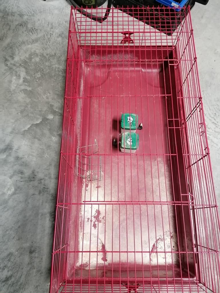 Kooi voor konijn, Dieren en Toebehoren, Ophalen