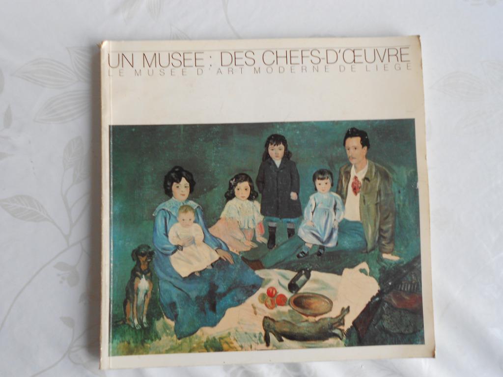 Le musée d'Art moderne de Liège, Livres, Enlèvement ou Envoi, Utilisé, Peinture et dessin