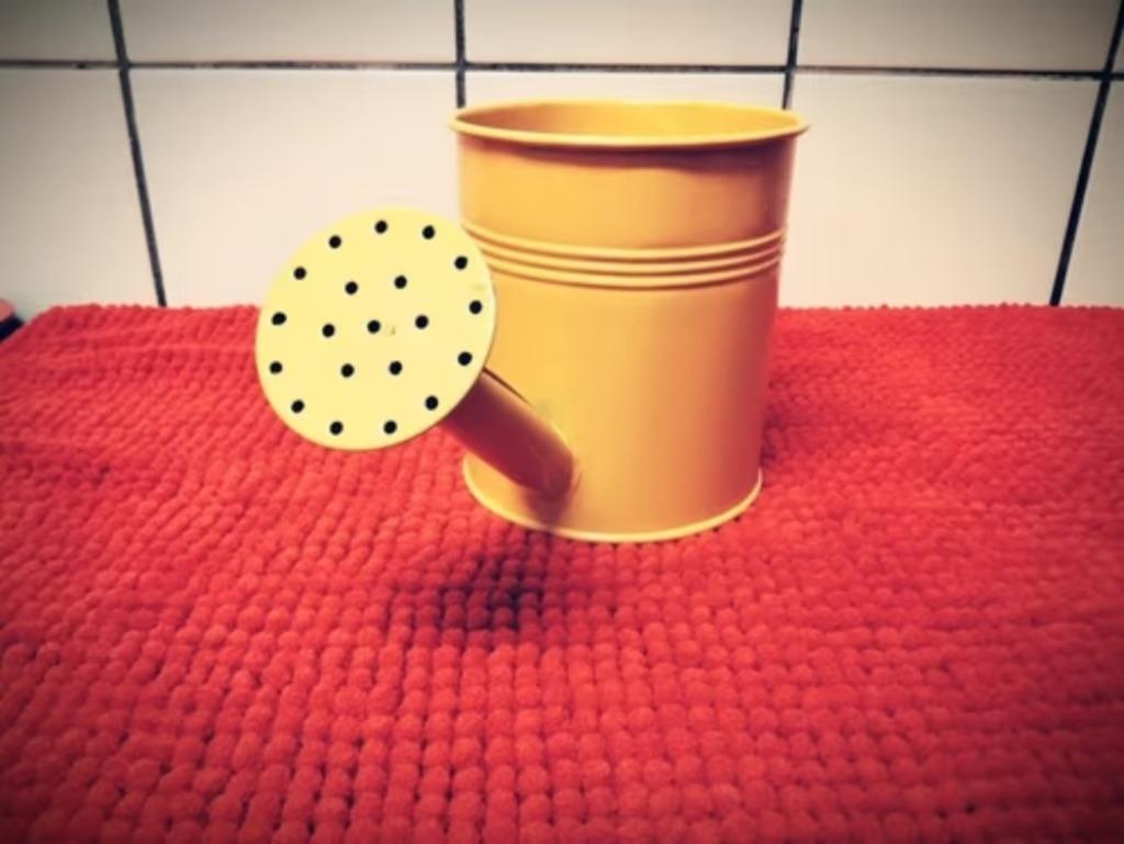 ARROSOIR DECO EN METAL, Enlèvement, Utilisé
