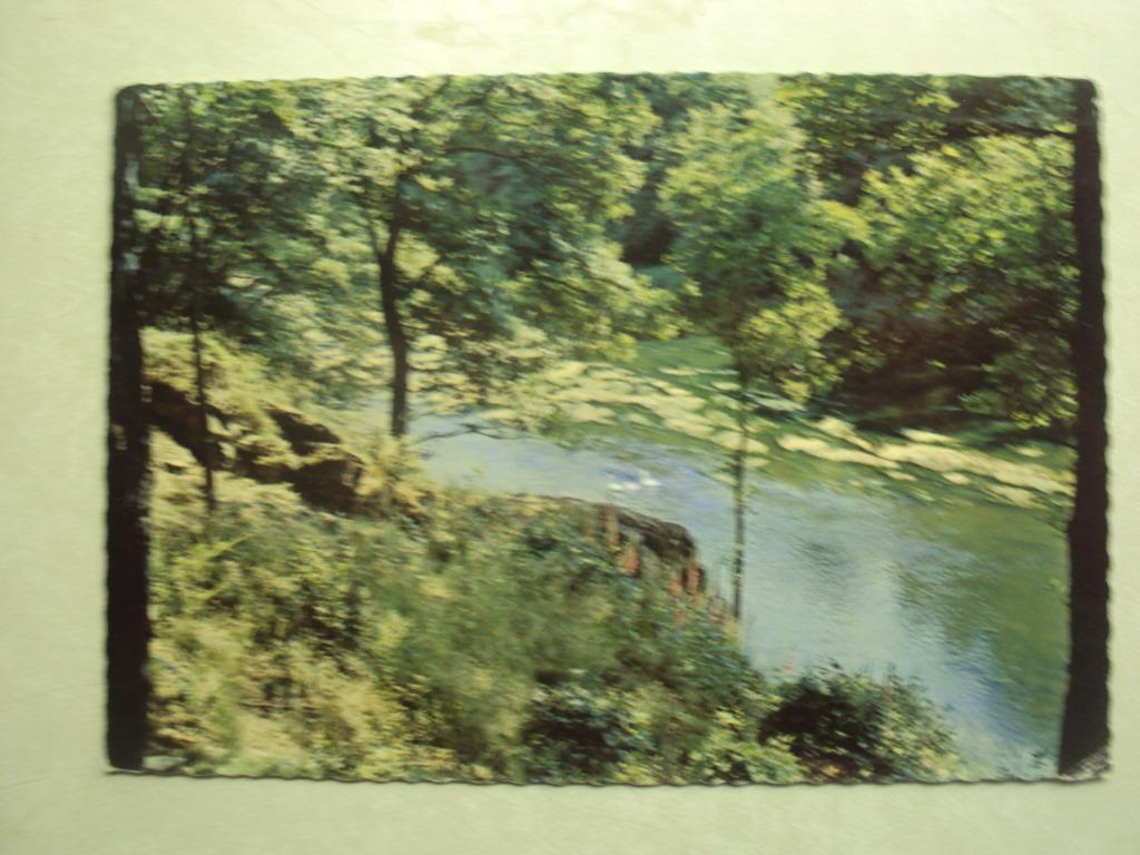 51493 - RIVIERES ET FORETS DES ARDENNES, Collections, Cartes postales | Belgique, Envoi