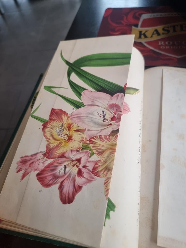 Livre Botanique Ancien 1859 - L'Illustration Horticole - 38, Antiquités & Art