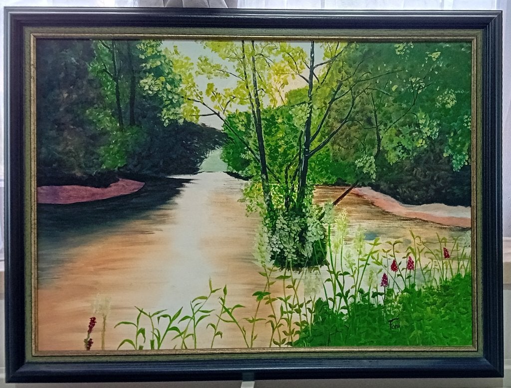 unieke handgeschilderde olieverfschilderijen 2 voor 25€, Antiek en Kunst, Ophalen, Bijzondere lijst
