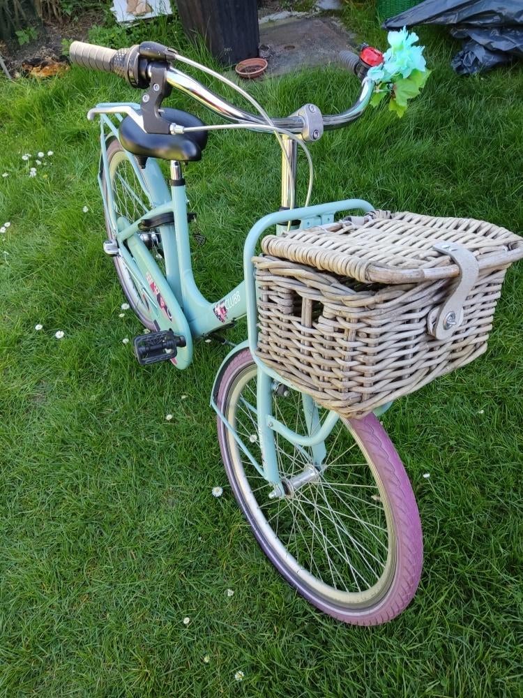 Mesjesfiets Alpina Clubb 24inch,3v,(8j-12j), Fietsen en Brommers, Ophalen, Terugtraprem, 24 inch, Alpina Meisjesfiets