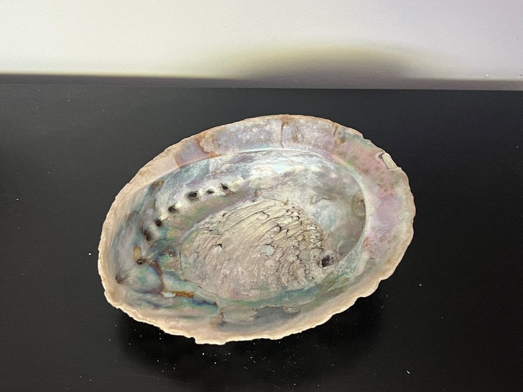 coque décorative - plat à bijoux ou décoration, Collections, Enlèvement ou Envoi, Coquillage(s)