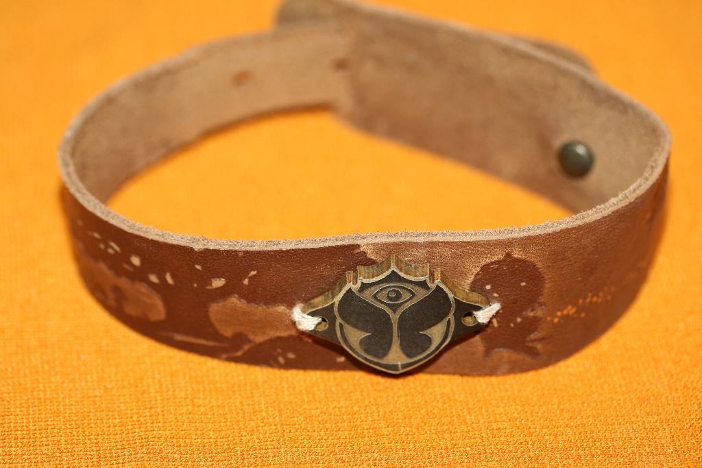 Tomorrowland bracelet, Collections, Enlèvement ou Envoi