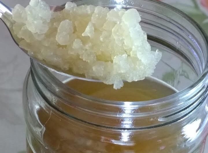 Levende waterkefir, Diversen, Ophalen