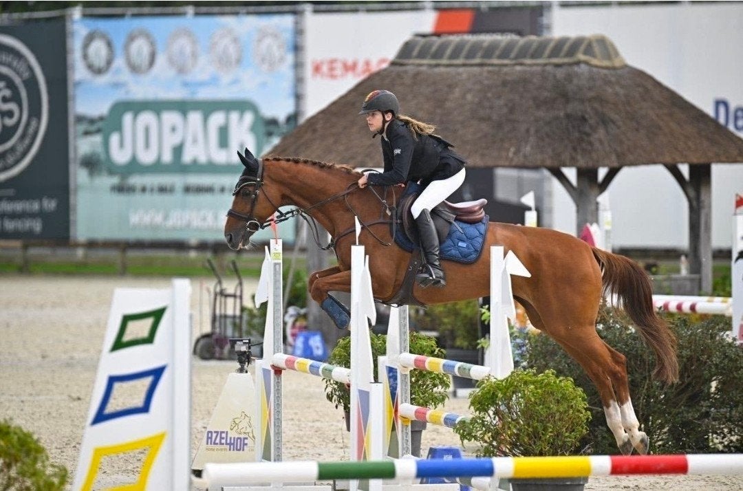 À vendre : Firenza, une jument de compétition éprouvée de Co, 11 ans ou plus, Avec pedigree, M, 165 à 170 cm