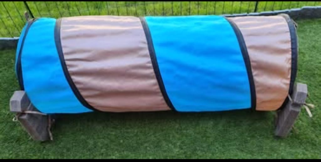 Agility/speeltunnel, Dieren en Toebehoren, Ophalen, Gebruikt