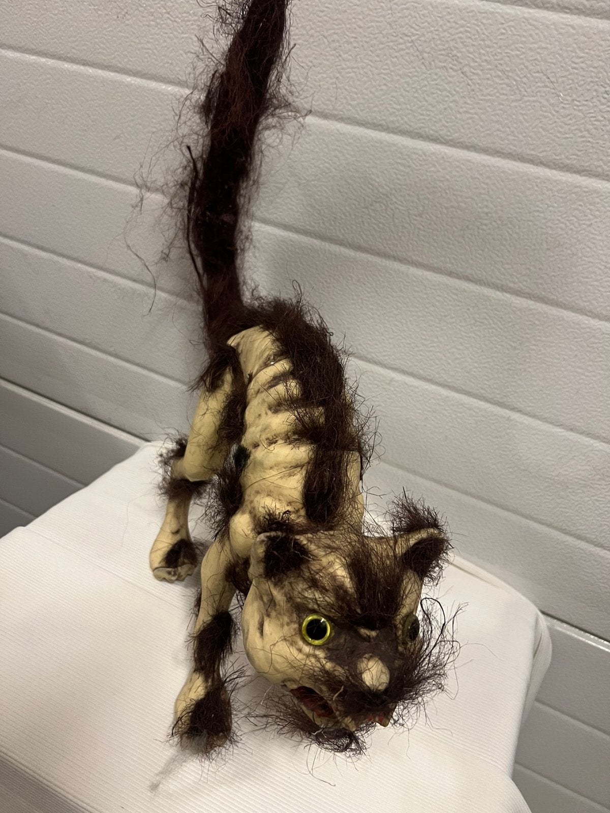 Halloween decoratie kat skellet, Ophalen of Verzenden, Zo goed als nieuw