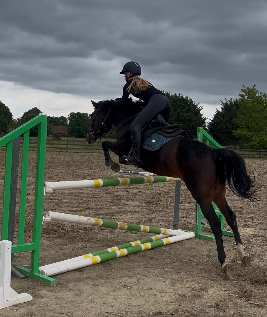 New forest pony te koop, Jument, Poney D (1.37 m à 1.48m), Poney de saut, 11 ans ou plus